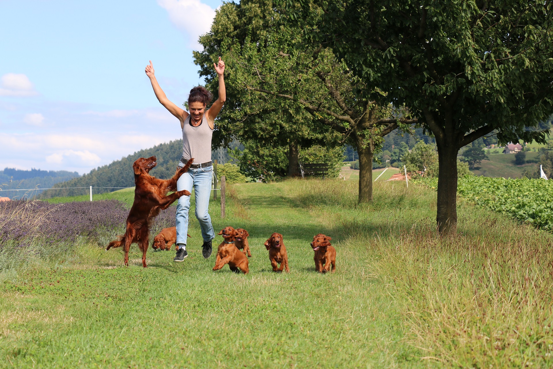 Start page image for sales-partner's sales-channel